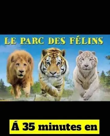 Avec Jacuzzi Prive 20min De Paris * Melun